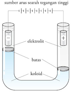  Selajutnya bagaimana cara untuk memilih  Pintar Pelajaran Contoh Proses Elektroforesis Koloid, Muatan Listrik Partikel, Kimia