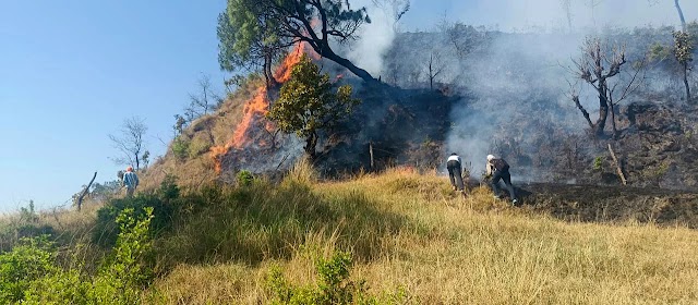 हिमाचल के जंगलों में आग की घटनाओं ने लोगों को रखा है डरा 