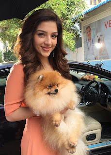 Mehreen Pirzada with Cute and Awesome Smile with Cute Dog