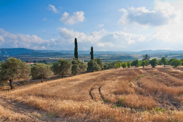 Paphos landscapes (photo_2)