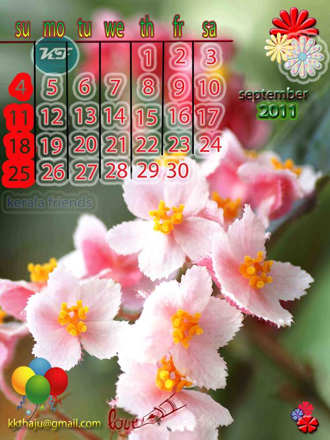 Calendar 2011