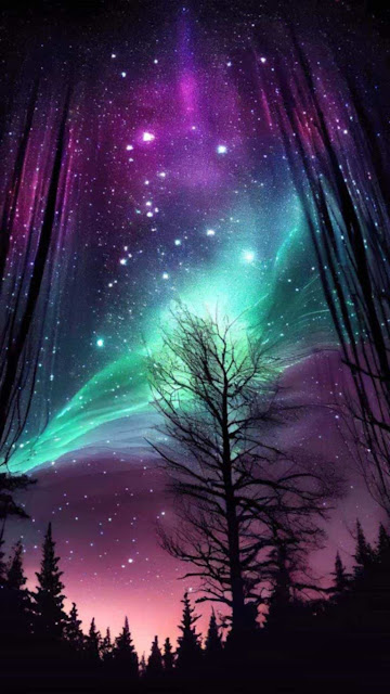 Northern Lights Aurora Borealis iPhone Wallpaper