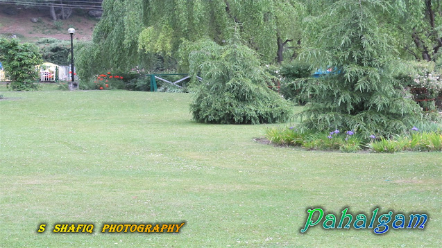 Wallpaper_Pahalgam