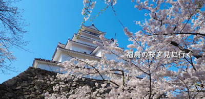 ☆福島の｢鶴ヶ城の桜｣を見に行く旅