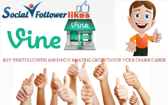 buy vine followers cheap 