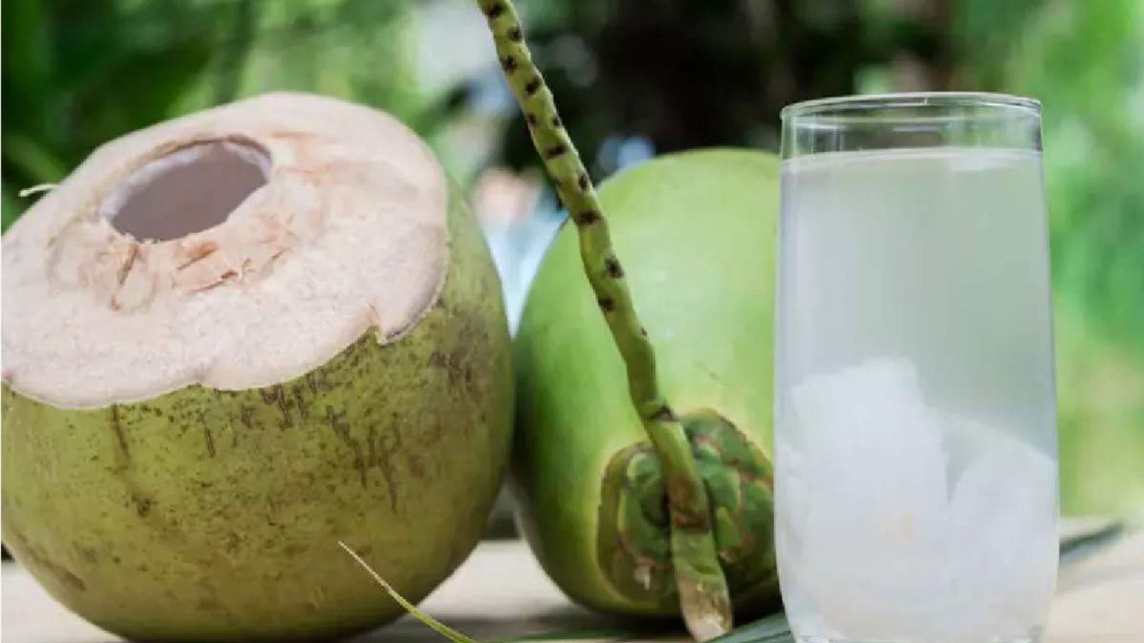 नारियल पानी का बिजनेस कैसे शुरू करें? | coconut water business plan in hindi |