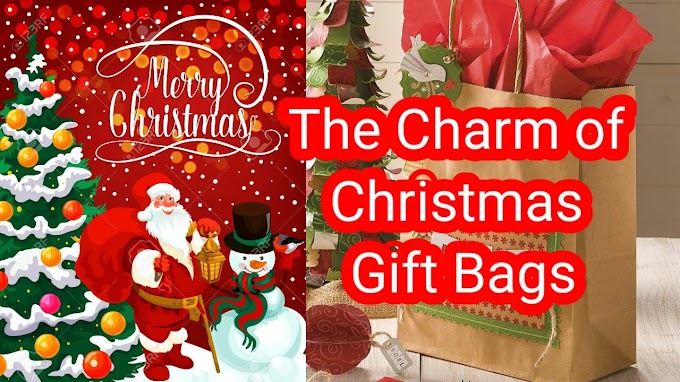 The Charm of Christmas Gift Bags||better gifting option on Christmas||
