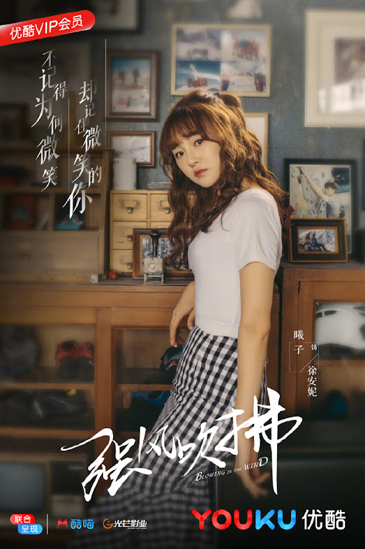 Blowing in the Wind China Web Drama