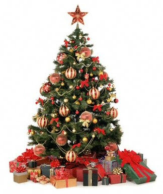 Christmas Trees on Ideas To Decorate A Christmas Tree   Furniture Blogs   Office