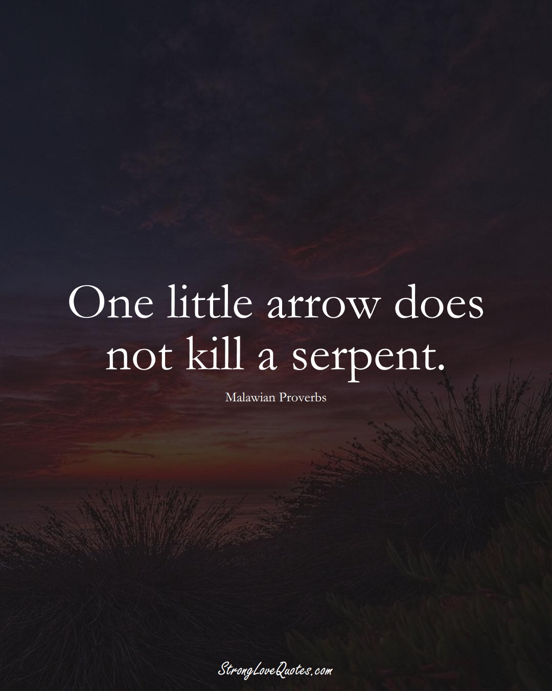 One little arrow does not kill a serpent. (Malawian Sayings);  #AfricanSayings