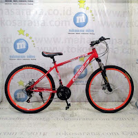 evergreen mountain bike