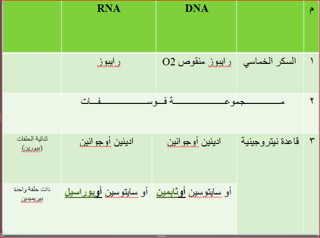 Biology الفصل السادس الوراثة الجزيئية