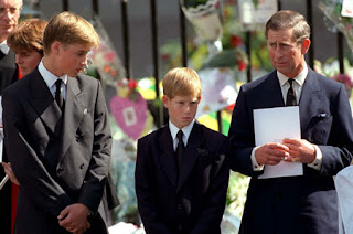 prince harry and william-2013