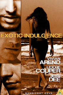 ebook erotica review