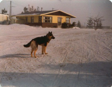 Shelly1977feb