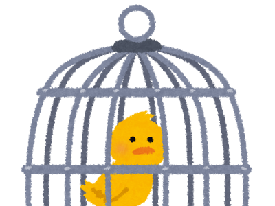 画像 イラスト 鳥かご 284005-イラスト 鳥かご
