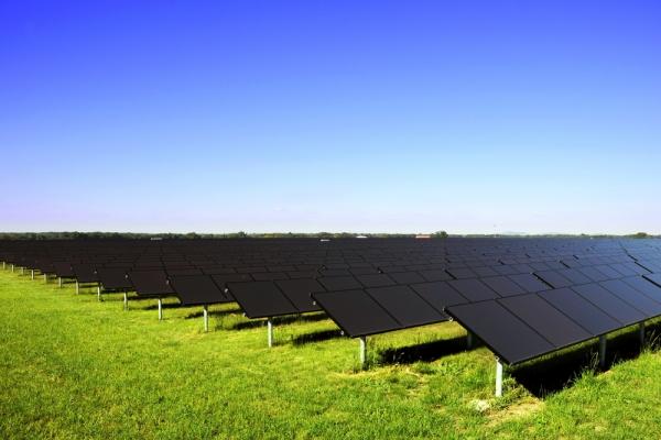 Algae Promising Fuel