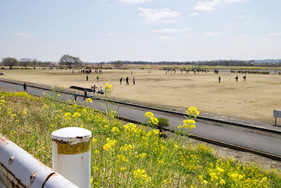 ラグビーの練習をする若者たち