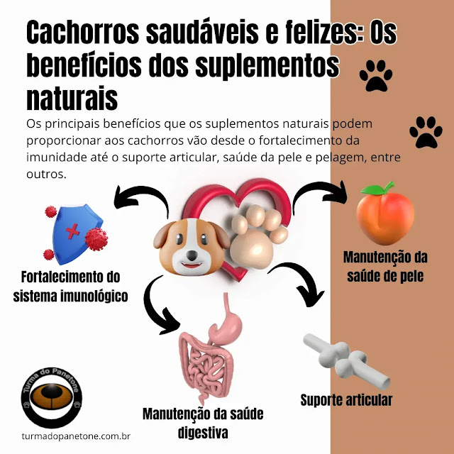 Cachorros saudáveis e felizes: Os benefícios dos suplementos naturais