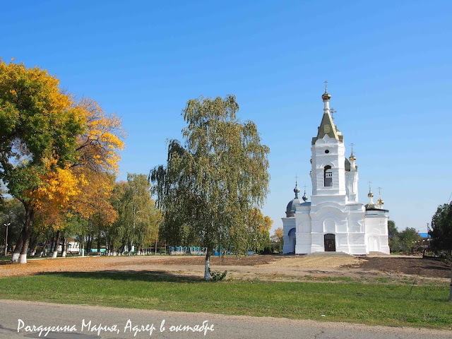 Дорога домой фото