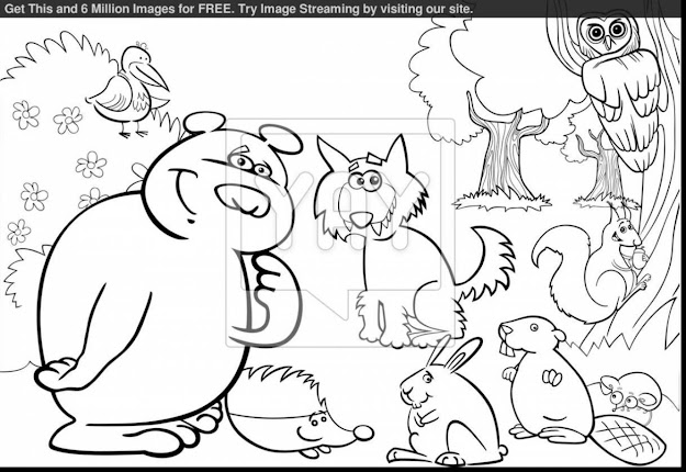 Awesome Forest Animals Coloring Pages With Rainforest Coloring Pages And  Rainforest Coloring Pages To Print