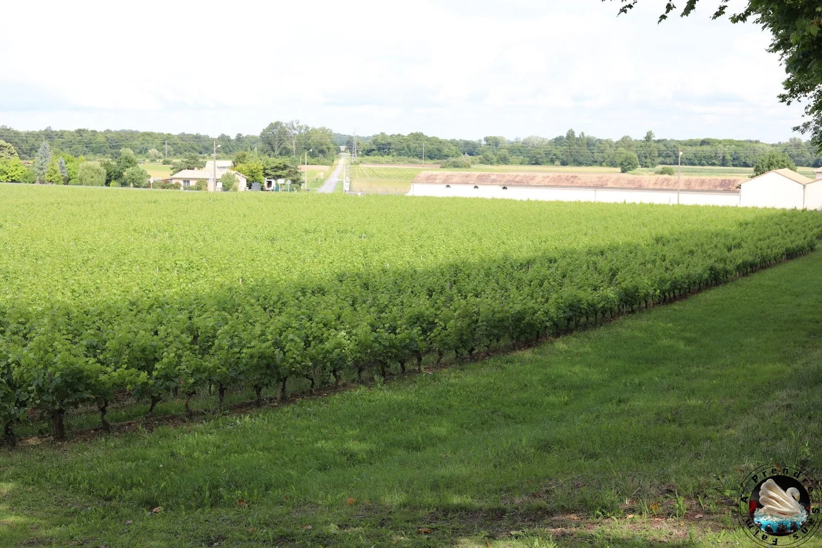 Visite et dégustations au Château Castera