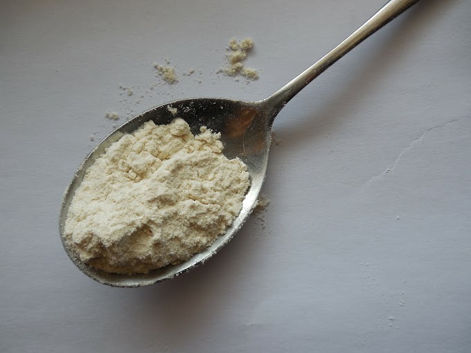 Ghar Par Protein Powder Kaise Banaye : घर पर ही बेहद आसानी से बनाया जा सकता है प्रोटीन पाउडर, जानिए तरीका