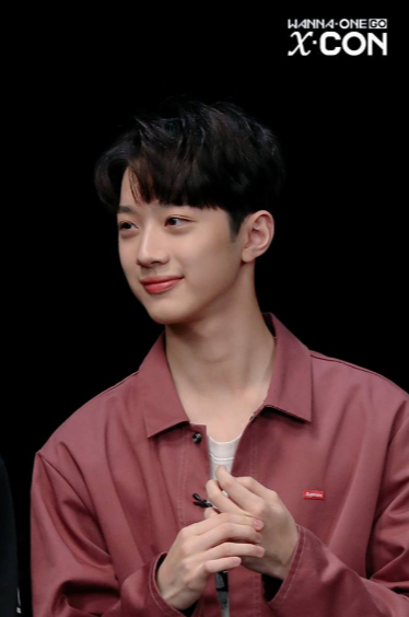 Lai Guanlin, Biodata lai guanlin, Profil lai guanlin, Lai guanlin profile, Lai guanlin wanna one, Fakta lai guanlin, Foto lai guan lin, Lai Guan Lin, 라이관린,