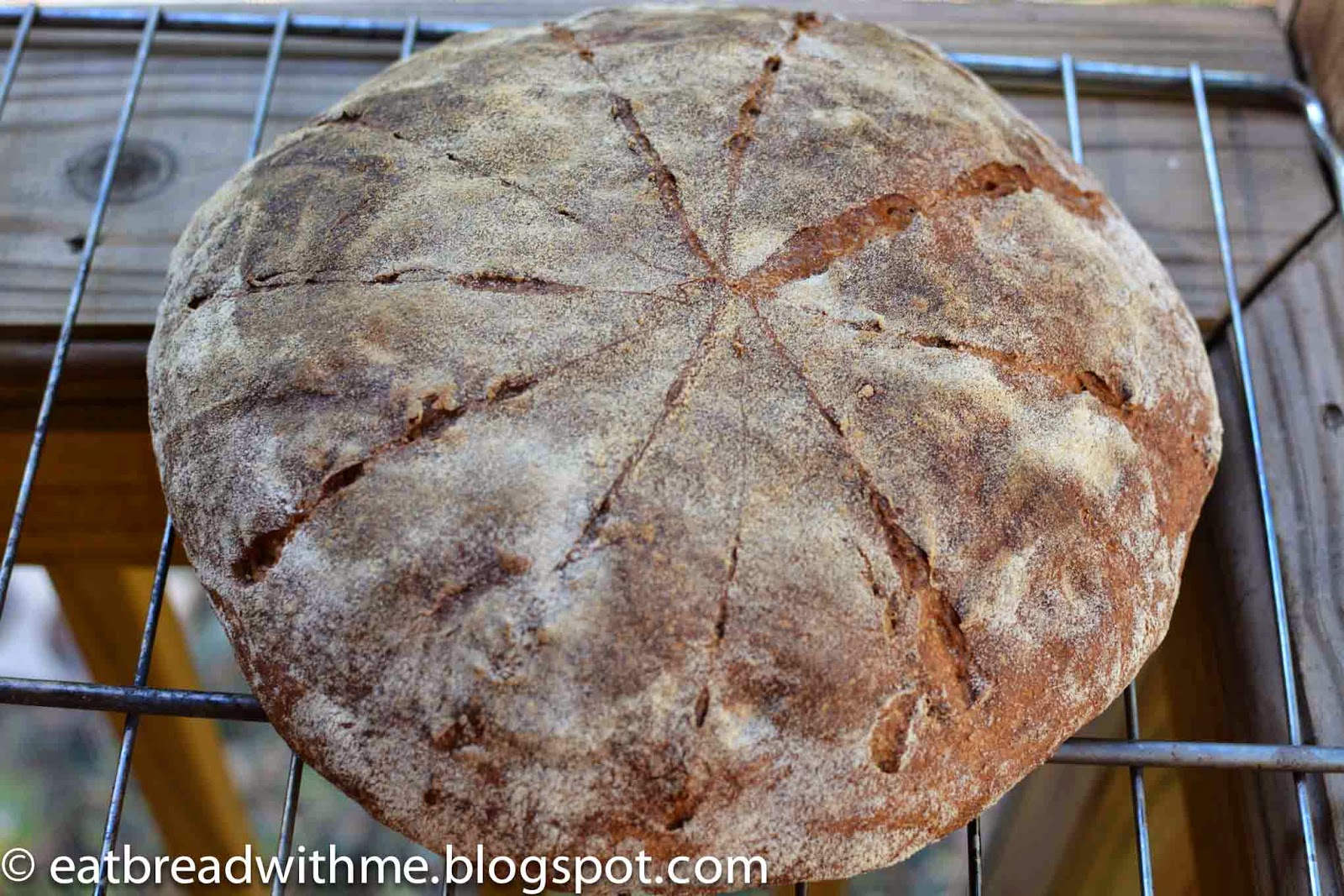 100% Whole Wheat Sourdough