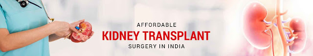 Low Cost Kidney Transplant in India 
