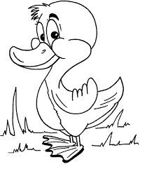 Printable Duck Animals Coloring Pages Online For Free