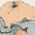 How to plant and grow Pumpkins and Winter Squash