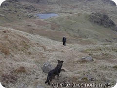 down to codale tarn