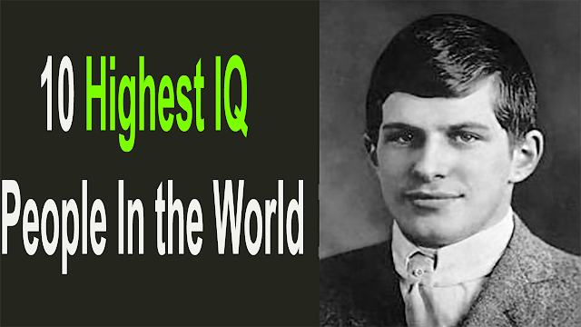 Top 10 Highest IQ People In the World