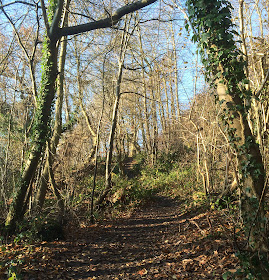 Looking up along the path towards One Tree Hill, 11 December 2012.