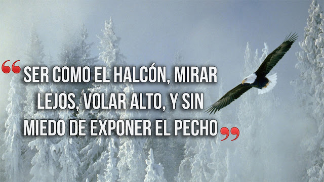 frases de animales