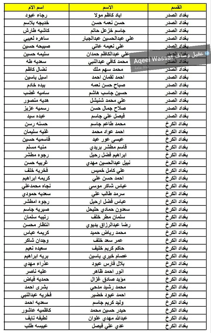 ملحق اسماء الوجبة الثامنة للرعاية الإجتماعية محافظة بغداد