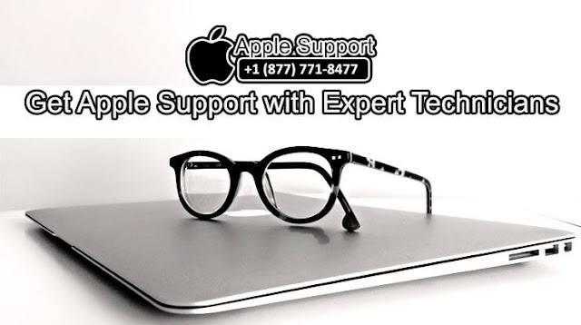 mac support phone number