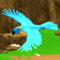 Parrot Simulator, action games, flying games