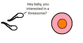 Sperm Meets Egg - Hey baby, you interested?