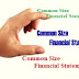 Common Size Balance Sheet Example
