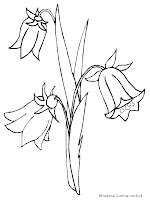 Gambar Mewarnai Gambar Bunga Terompet Sketsa Batik di 