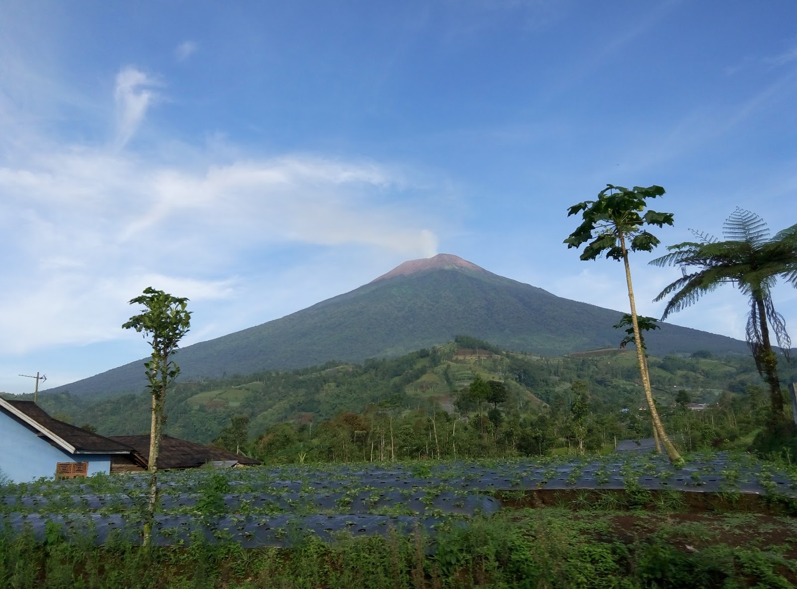 10 Gunung  Tertinggi di Indonesia dengan Pemandangan yang Indah Sanggar Ilmu Indonesia