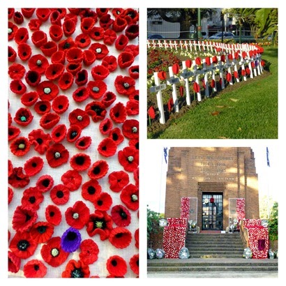 Anzac Poppies