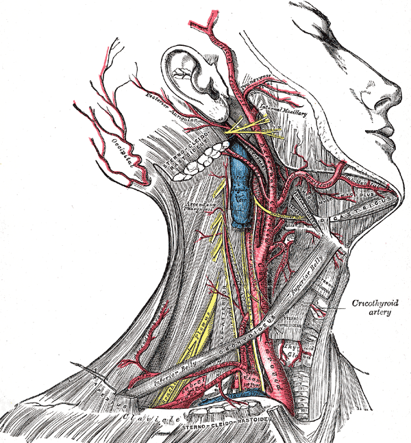 Isshin - Concentration the Art: The Carotid Choke