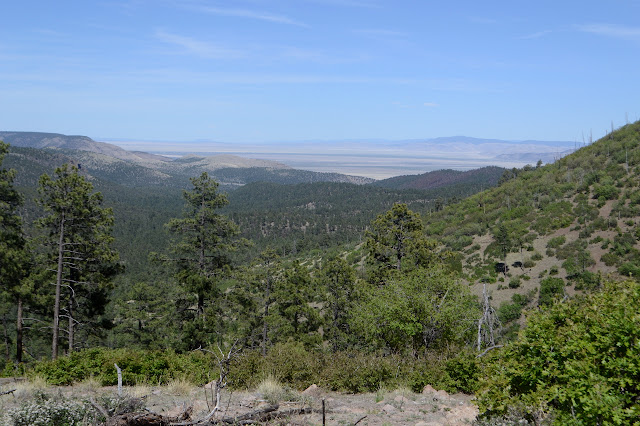 plains of Collins Park