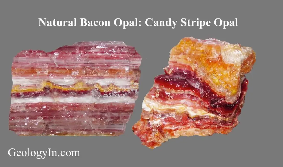 Natural Bacon Opal or Candy Stripe Opal