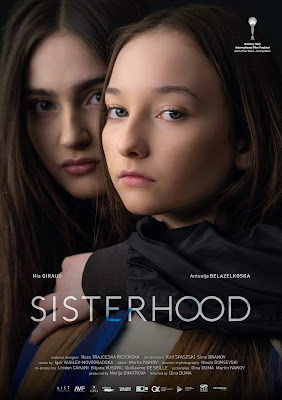 Sisterhood S01 Dual Audio [Hindi – Turkish] 1080p & 720p WEB Series HDRip ESub x264/HEVC | [01]