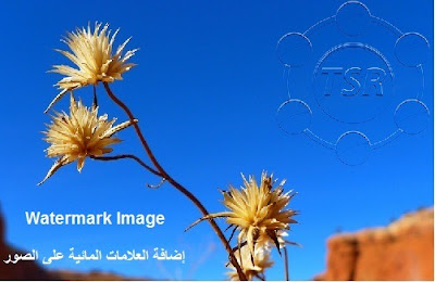 تحميل برنامج إضافة العلامات المائية على الصور TSR Watermark Image