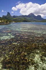 Moorea 1